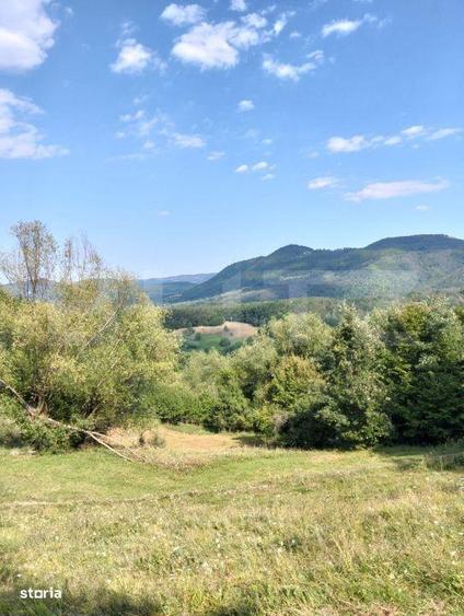 Teren generos de 70290 mp, 5045 mp intravilan, Poiana Ampoiului, Metes - 2