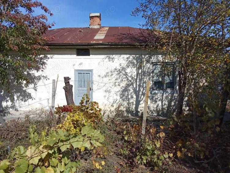Casa si teren de vanzare, sat Ciorasti, jud. Vrancea - 5