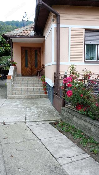 Vand casa cu anexe - 1