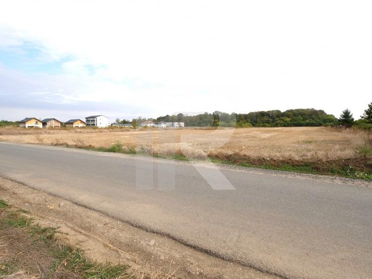 LOTURI PENTRU CASA - 420mp + 89mp drum - Otopeni, Ilfov - IN CURS DE AUTORIZARE - 3