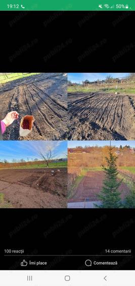 Vand casa la alb. - 7