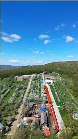 Teren partial intravilan Gura Fagetului, Jud. Buzau - 3114304 - 1