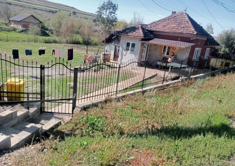 Casa spatioasa in Sanmihaiu de Campie - 2