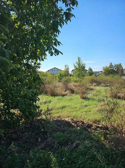 Comuna 1 Decembrie, Jud. Ilfov, teren strada Sperantei - 3