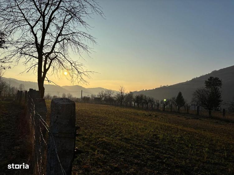 Teren intravilan de vanzare, 3111mp, acces asfaltat - 7