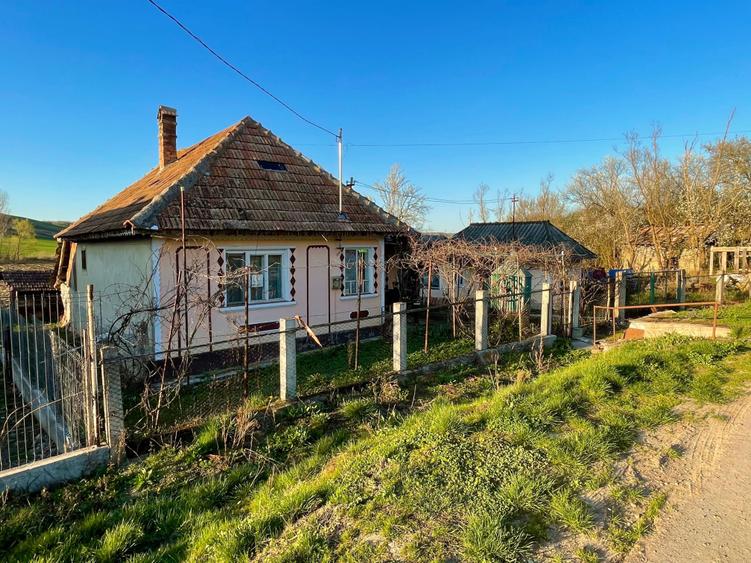 Casa cu 3 camere, teren 1000mp - 8