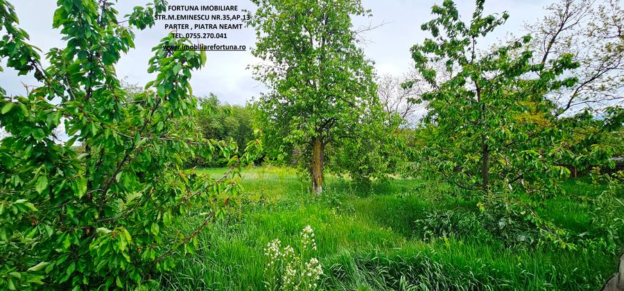 Casa la pret de apartament si teren 2358 mp, com .Girov - 18