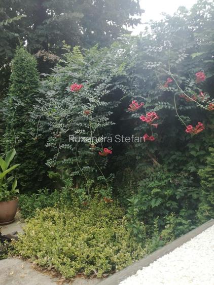 Inchiriez camera spa?ioasa in interiorul unei case la curte Bucure?tii Noi Inchiriez camera spa?ioasa in interiorul unei case la curte Bucure?tii Noi