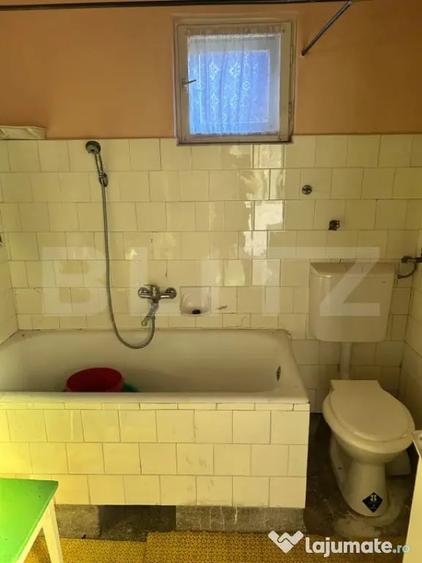 Casă cu 3 camere cu Teren 3000 Mp în Murgești