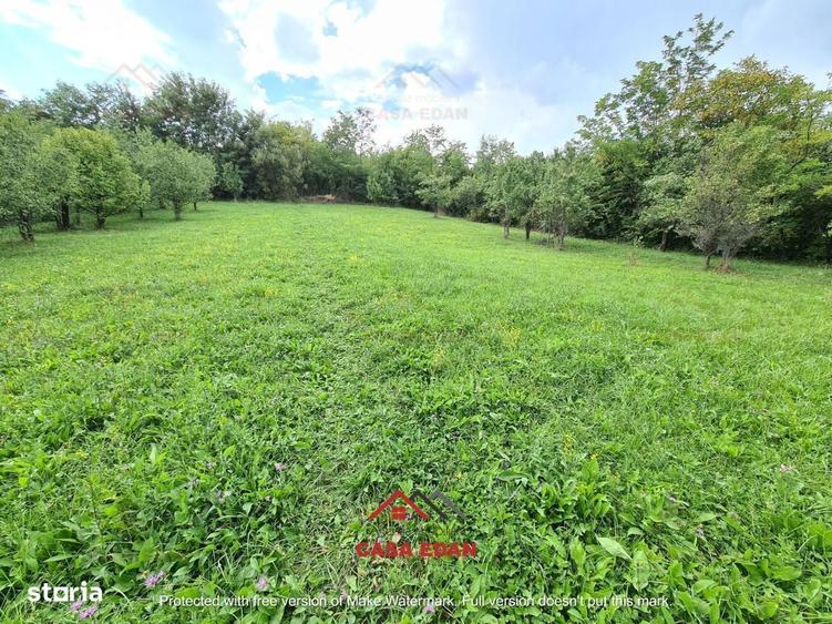 Teren intravilan in Poiana Campina zona retrasa 3287mp 10e - 1