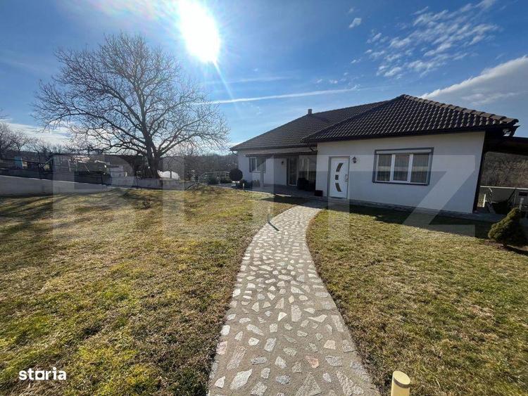 Tihna, spatiu si bucuria de a trai: O proprietate de exceptie in sat F - 2