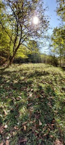 Teren chiar lângă râu 2700 mp la 1 km de pastravaria Doftana 4 km de Paltinu - 4