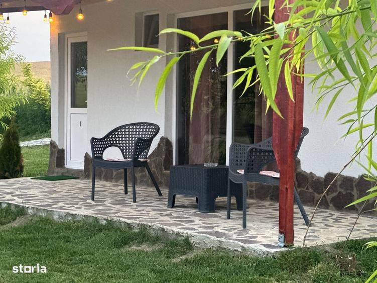 Pensiune cu balta de 30 ha in proprietate aproape de Bucuresti - 4