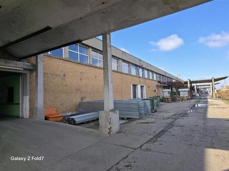 Inchiriere depozit/hala/spatiu industrial Buftea - DN1A, ILFOV - 5