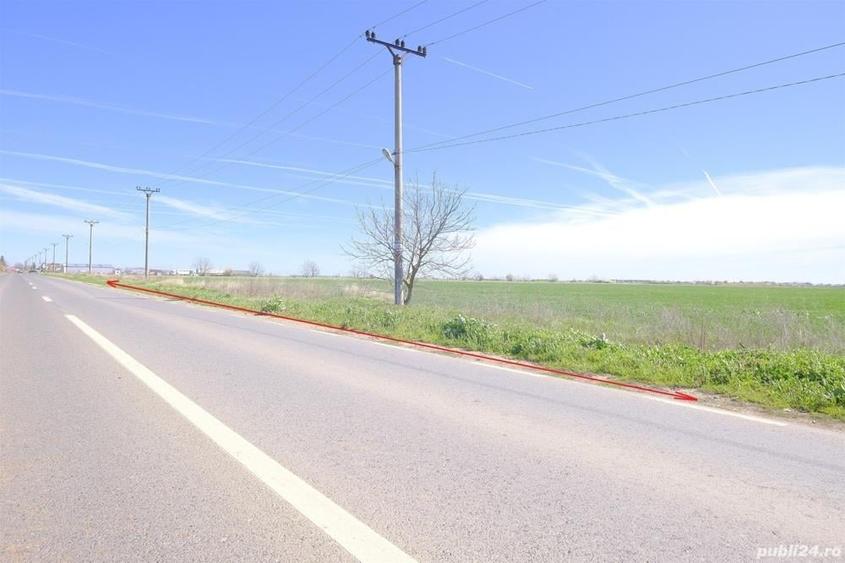 UNICAT ! Dascalu, 65.000 mp. teren intravilan cu deschidere de 102 ml. la DJ200 - 2