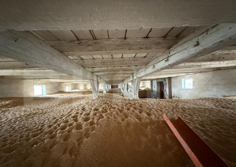 Ferma de Vanzare in judetul Timis, la nord est de Timisoara, - 28