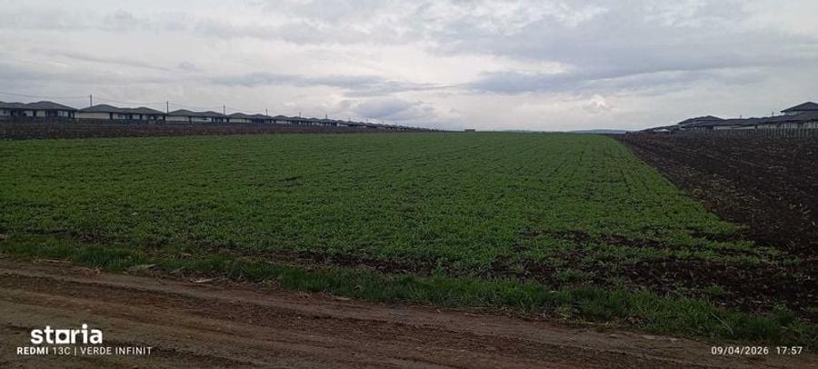 Teren Intravilan, Vorovesti 1 ha - 3