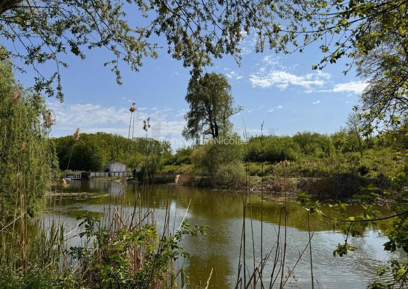 Teren 10000 mp Deschidere Lac Silistea Snagovului De Vanzare Teren 10000 mp Deschidere Lac Silistea Snagovului De Vanzare