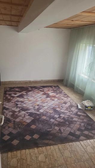 Vand casa Jurilovca - 10