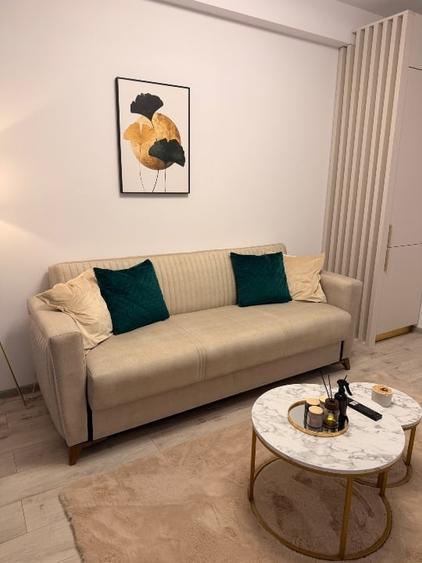 Apartament cu 2 camere nedecomandat, mobilat în Palazu Mare