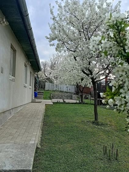 Casă cu 2 camere cu Teren 910 Mp în Central