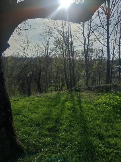 Teren intravilan de 5973 mp, în Plaiu (Provița de Sus)