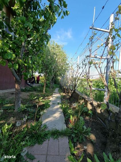 Vila Brane?ti | 2 min. Padure | Ideal Prosumator | Acces Rapid A2/A0 - 9