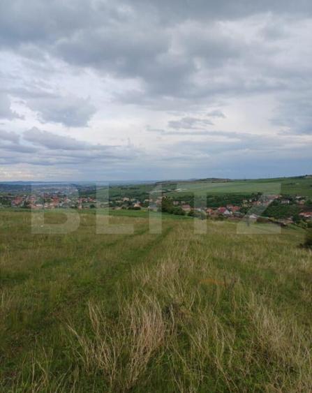 Teren extravilan 1248 mp in Copaceni! Oportunitate investiti - 4