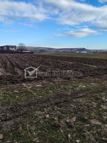 Teren de vanzare in Jucu de Mijloc - 1