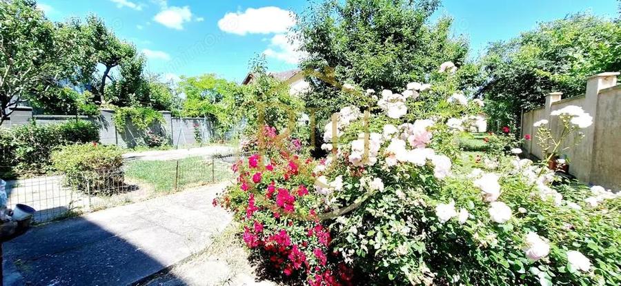 Oferim spre inchiriere, Apartament spatios, 4 camere, pentru locuit sau Firme - 2