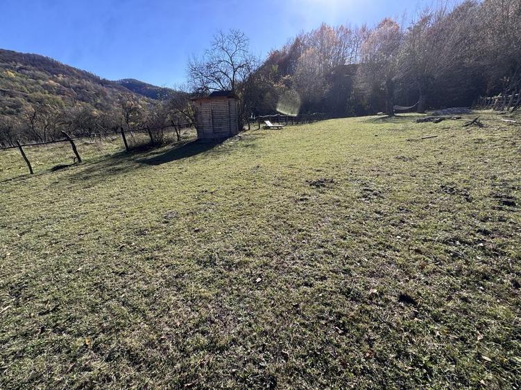 Teren intravilan Bradulet (Ungureni) , imprejmuit, langa padure - 8