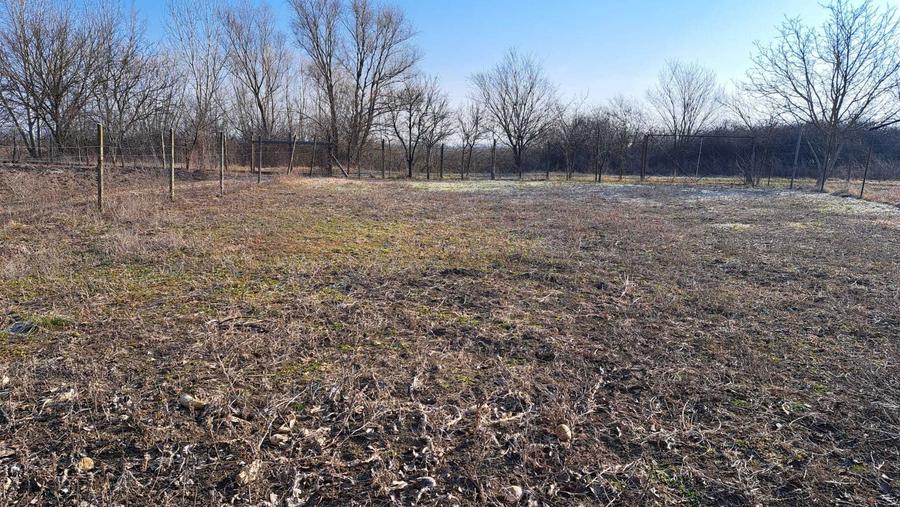 De vanzare loc de casa Sat Niuved, Comuna Tamaseu - 1