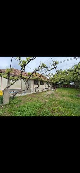 Casa de vanzare Vadu Crisului - 3