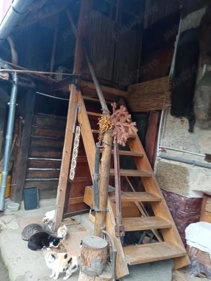 Vand casa in Ilidia - 5