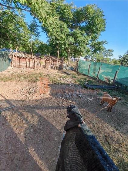 Casa tip parter + teren zona Maxenu - 10