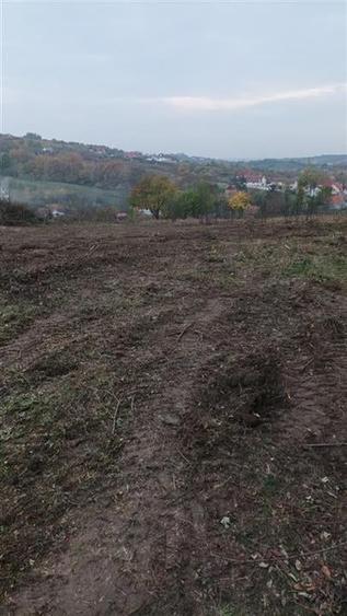 RECO . Teren in Podgoria . - 3