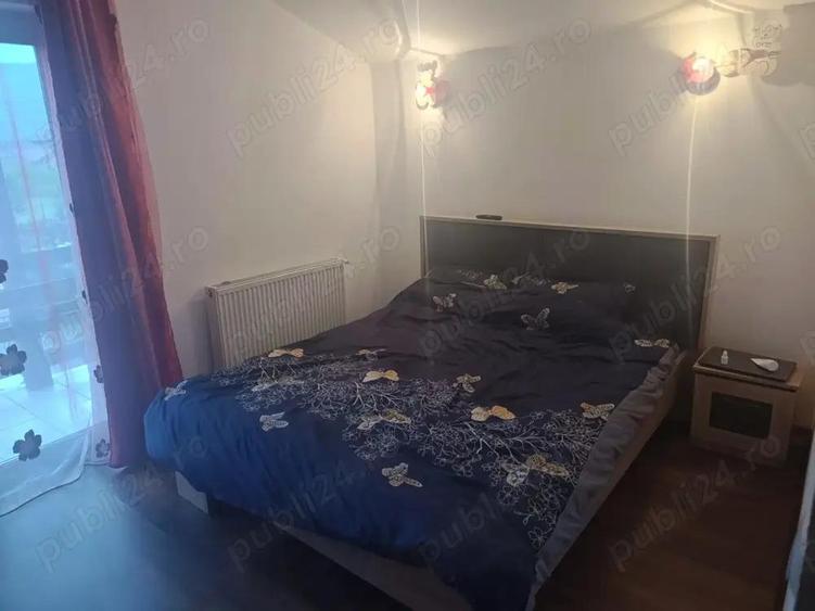 Casa Jiblea Veche - Calimanesti - 14