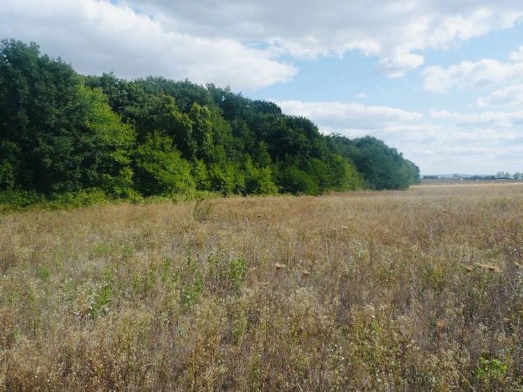 Teren intravilan Iasi Centura Miroslava Valea Ursului Uricani Gaureni - 3