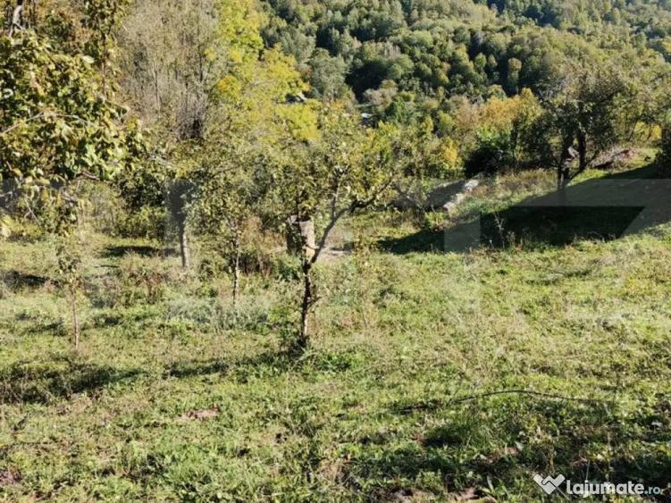 Teren cu priveli?te superba , livada ?i poten?ial casu? - 8