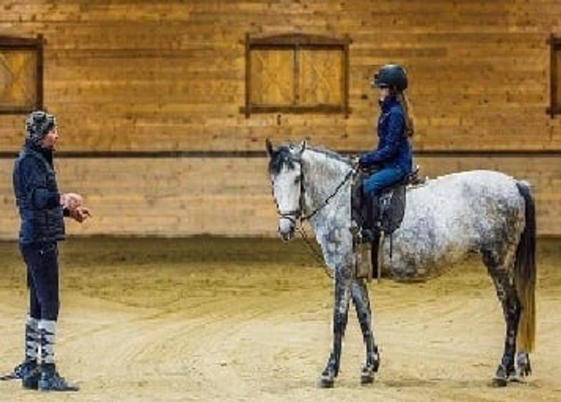 Apartamente de Vacanta - Rasnov Brasov - 17