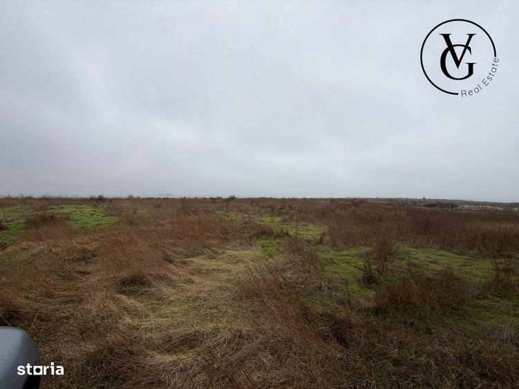 Teren 1000 mp Palazu Mare | Ideal investitie - 2