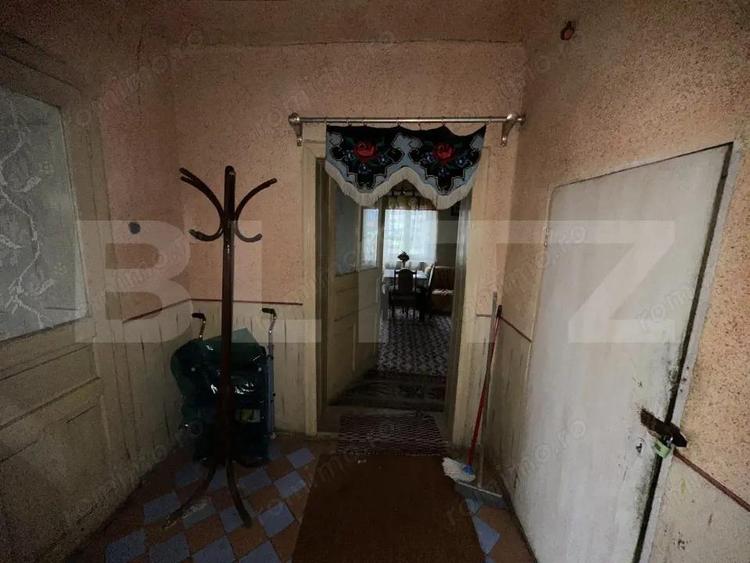 Teren 3000 mp + 2 case de vanzare-Ca?eiu - 3