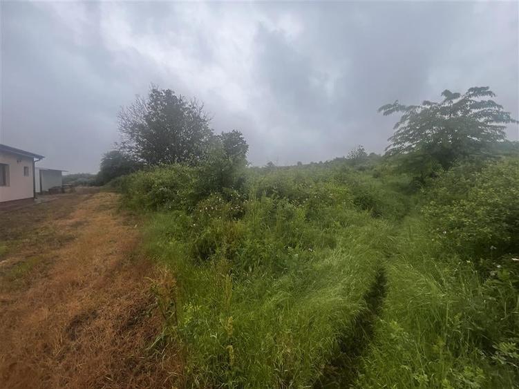 Teren intravilan, 1000mp, in Valea Calugareasca. - 8