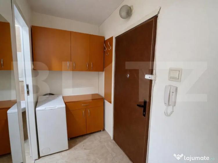 Garsoniera 25mp, pet friendly, zona Iulius Mall - 4