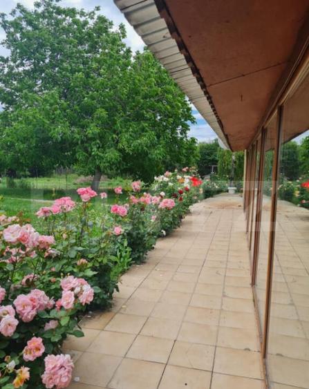 Casuta de vanzare, 149 mp utili, teren 1700 mp, Targoviste-z - 23