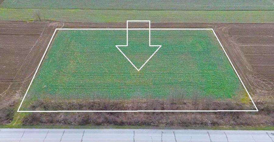 Teren 6600MP Cu Front Stradal 101 M La Intrare in Lazuri ... - 2