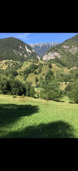 De vanzare 1000mp sat Pestera , comuna Moieciu - 8