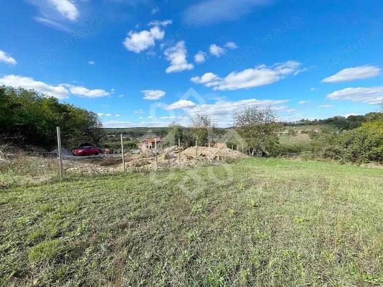 Teren intravilan 5995 mp de vanzare in Hidiselu de Sus - 4