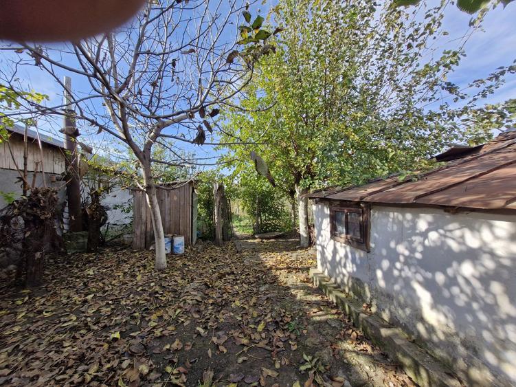 Casa 4 camere + teren 1444 mp ingradit - 7