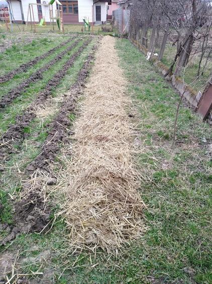 Casa 4 camere Petid,judetul Bihor - 1